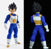 фотография Imagination Works Vegeta
