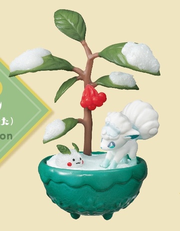 главная фотография Pokemon Pocket Bonsai: Rokon Alola Form