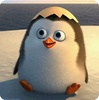 Kinder_Pingui