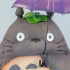 Hayao Miyazaki's Famous Scene Series My Neighbor Totoro