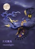 фотография Imaginary Creatures Encyclopedia III Roman Genchou Night Edition: Moonlight