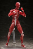 фотография figma Human Anatomical Model