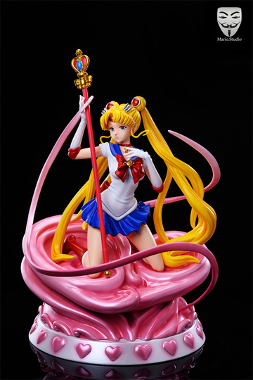 главная фотография Sailor Moon Real Color Ver.