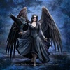 фотография Art & Artist Premium Statue Anne Stokes Collection Raven