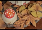 фотография Mushroom Girls Series No.1 Amanita Muscaria