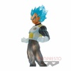 фотография Clearise Vegeta SSGSS