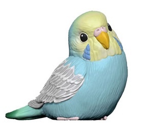 главная фотография Tenori Friends 4R: Budgerigar Rainbow