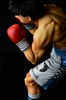 фотография Makunouchi Ippo -fighting pose-