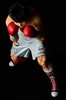 фотография Makunouchi Ippo -fighting pose- damage ver.