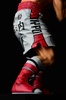 фотография Makunouchi Ippo -fighting pose- damage ver.