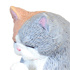 Gassho Takumi -Cat Worship-: Exotic Shorthair