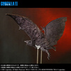 фотография Toho Daikaiju Series Rodan (2019)