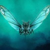 фотография Deforeal Mothra (2019) Limited Edition