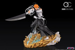 фотография Kurosaki Ichigo First Bankai