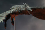 фотография 13 Inch Wing-to-Wing Action Figure Rodan (2019)