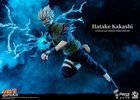 фотография Hatake Kakashi