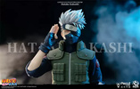 фотография Hatake Kakashi