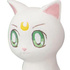 Gekijouban Bishoujo Senshi Sailor Moon Eternal Hugcot 3: Artemis