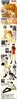 фотография HGIF Sadamoto Yoshiyuki Collection 2: Rei