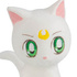 Gekijouban Bishoujo Senshi Sailor Moon Eternal Hugcot 4: Artemis
