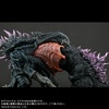 фотография Deforeal Orga Limited Version