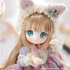 фотография Primrose × SugarCups Chocolala ～Little Milky Cat～