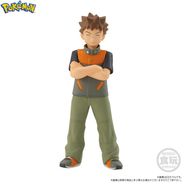 главная фотография Pokémon Scale World Kanto Region: Takeshi