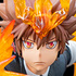 Tsuna, Reborn & Natsu