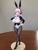 фотография BiCute Bunnies Sonico Newly Drawn Costume Swallowtail Ver.