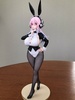 фотография BiCute Bunnies Sonico Newly Drawn Costume Ver