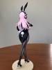 фотография BiCute Bunnies Sonico Newly Drawn Costume Ver