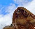 фотография Ushio & Tora