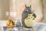 фотография Handheld Series Totoro Decoration