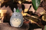 фотография Capsule Toy Totoro: whith Makkuro