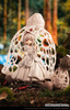 фотография Mushroom Girls Series No.2 Dictyophora Indusiata
