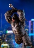 фотография Stylist Series Kong Godzilla vs. Kong (2021)