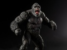 фотография Hiya Exquisite Basic Kong