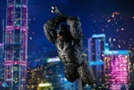 фотография Stylist Series Kong