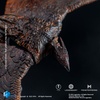 фотография Hiya Exquisite Basic Radon