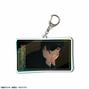 фотография TV Anime Chainsaw Man Big Acrylic Keychain: Himeno /B