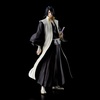 фотография Solid and Souls Kuchiki Byakuya