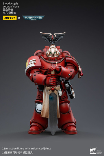 главная фотография JOYTOY x Warhammer 40000 Blood Angels: Veteran Vigna