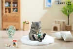 фотография Crotch Staring Cats Series 3: Grey cat