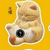 фотография Crotch Staring Cats Series 2: Ginger cat