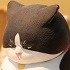 Crotch Staring Cats Series 3: Black & white cat