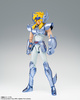 фотография Saint Cloth Myth EX Cygnus Hyoga Final Bronze Cloth