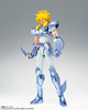 фотография Saint Cloth Myth EX Cygnus Hyoga Final Bronze Cloth