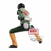 фотография Vibration Stars Rock Lee