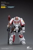фотография JOYTOY x Warhammer 40000 White Scars Intercessors: Sergeant Tsendbaatar