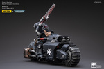 фотография JOYTOY x Warhammer 40000 Black Templars: Primaris Outrider